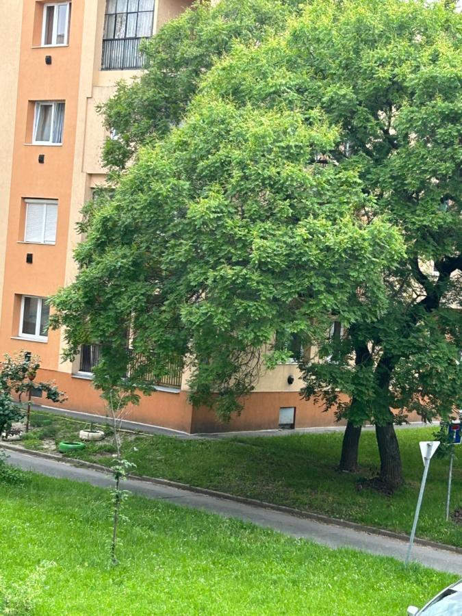 דירות מישקולץ Sophie'S Urban Nest מראה חיצוני תמונה